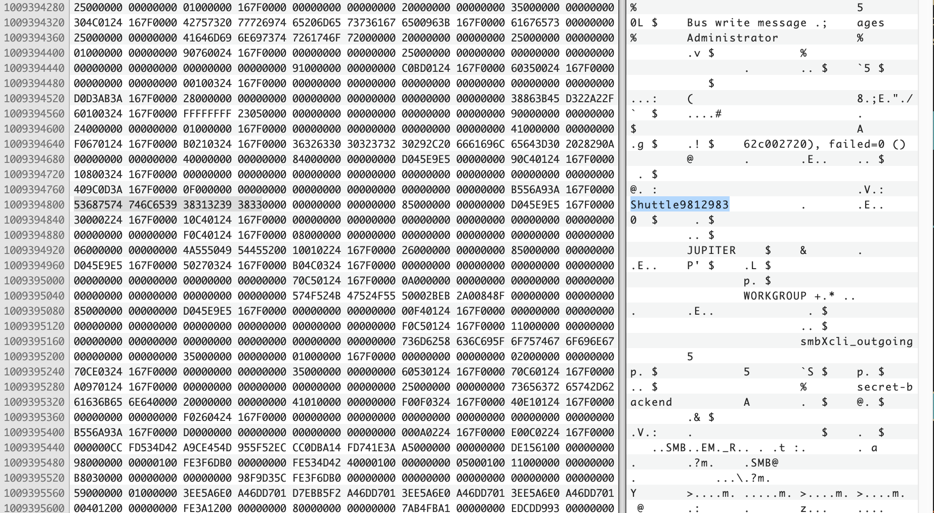 The password shown in hex editor